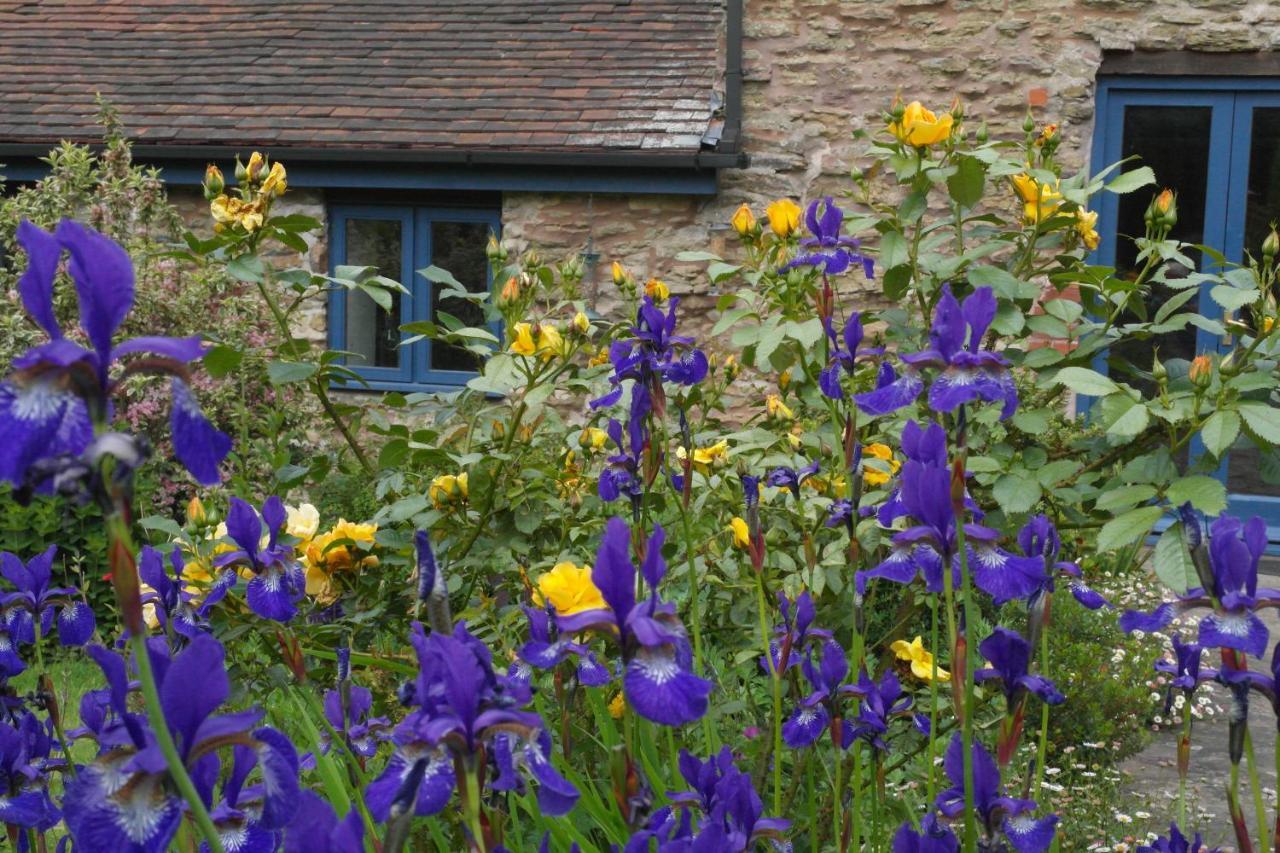 Prospect Barn Bed & Breakfast Hereford Exterior photo